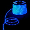 SP-DL-LED-100-3-Bzb.jpg